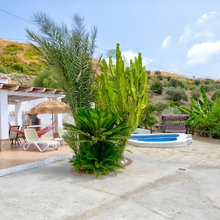 Cactus * Torrox